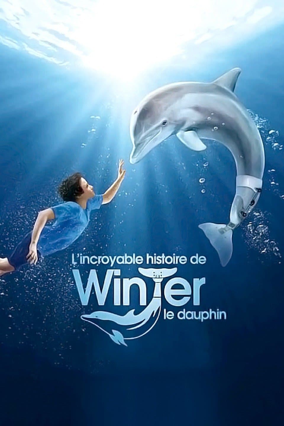 L\'Incroyable Histoire de Winter le dauphin